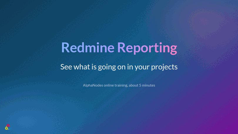 Redmine Reporting Plugin Online Training: Einführung